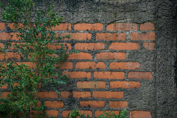 Quelles techniques utiliser pour peindre un plafond sans éclaboussures ?